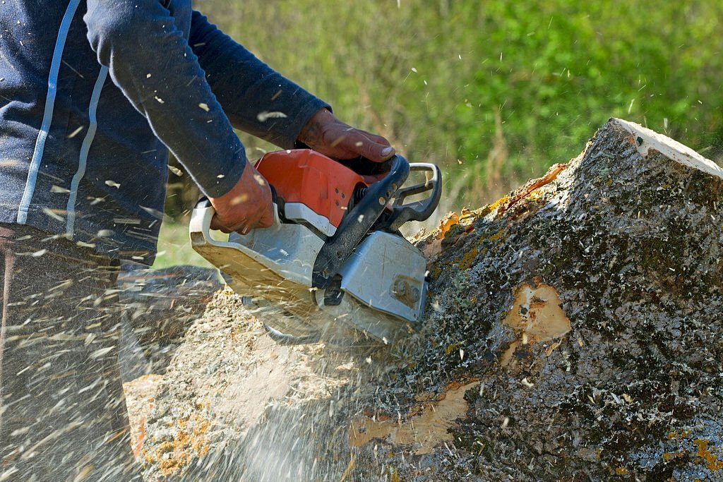 Tree removal services, Tree trimming and pruning, Stump grinding and removal, Emergency tree services, Storm damage cleanup, Tree care and maintenance, Tree cutting and disposal, Tree inspection and assessment, Arborist services, Tree preservation and restoration, Tree hazard evaluation, Tree planting and transplanting, Tree disease diagnosis and treatment, Tree root pruning and management, Tree crane services